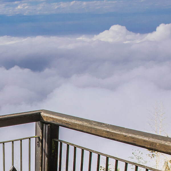 力譔堂整合行銷-阿里山四季茶旅