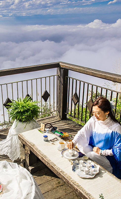 力譔堂整合行銷-阿里山四季茶旅