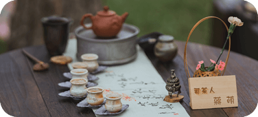 113年阿里山四季茶旅體驗活動暨產業培力